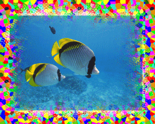 Qpon��]�p�l���X���C�h�V���[
