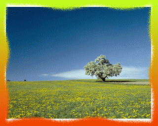 Qpon��]�p�l���X���C�h�V���[
